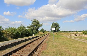 IMG_8655.JPG IMG_8655.JPG