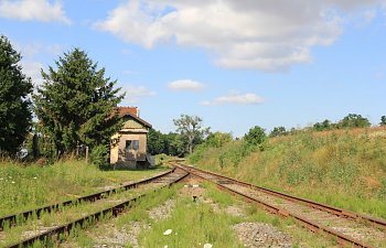 IMG_8658.JPG IMG_8658.JPG