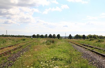 IMG_8659.JPG IMG_8659.JPG