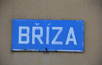 IMG_8680.JPG IMG_8680.JPG