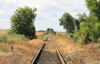 IMG_8681.JPG IMG_8681.JPG