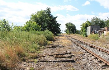 IMG_8682.JPG IMG_8682.JPG