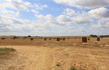 IMG_8686.JPG IMG_8686.JPG