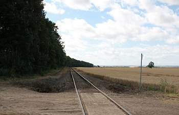 IMG_8687.JPG IMG_8687.JPG