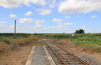 IMG_8690.JPG IMG_8690.JPG