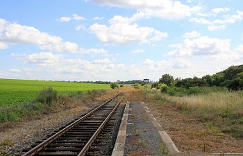 IMG_8691.JPG IMG_8691.JPG