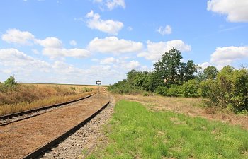 IMG_8693.JPG IMG_8693.JPG