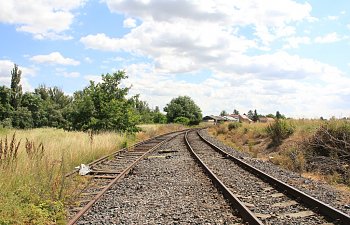 IMG_8696.JPG IMG_8696.JPG