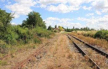 IMG_8698.JPG IMG_8698.JPG