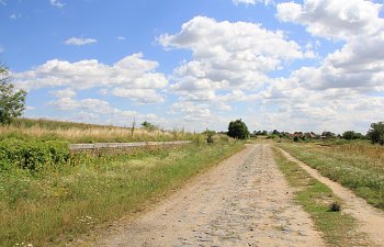 IMG_8700.JPG IMG_8700.JPG