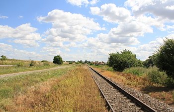 IMG_8701.JPG IMG_8701.JPG