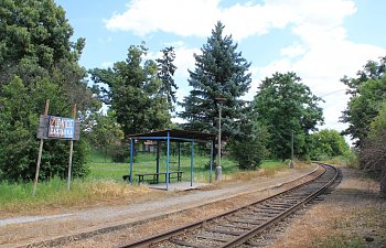 IMG_8713.JPG IMG_8713.JPG