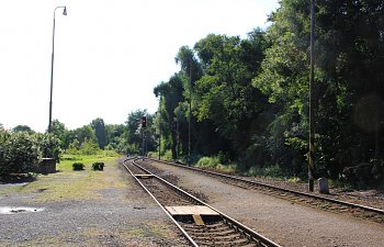 IMG_8817.JPG IMG_8817.JPG