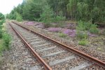 0519boernichen-schlepzig-gueterbahnhof.jpg