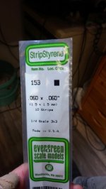 Evergreen Streifen_1.JPG Evergreen Streifen_1.JPG