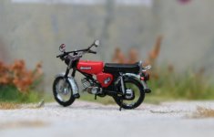 simson_13.jpg
