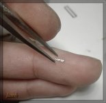 comp_IMG_20211017_181429.jpg comp_IMG_20211017_181429.jpg