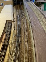 DD3A35E1-9FCC-4D7E-9BBC-80544CEE7712.jpeg