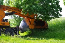 06 Baum ausgraben.JPG