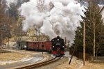 IMG_0016.jpg