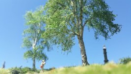 33144368rd.jpg 33144368rd.jpg