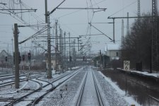 IMG_3420.JPG IMG_3420.JPG