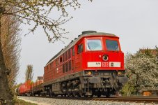 51612.jpg 51612.jpg