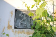 IMG_9069.JPG IMG_9069.JPG