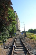 IMG_9079.JPG IMG_9079.JPG