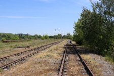 IMG_9103.JPG IMG_9103.JPG