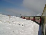 DSC00508.JPG