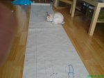 DSC00630.JPG