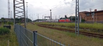 20220619_172802.jpg
