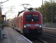 db182-004.jpg