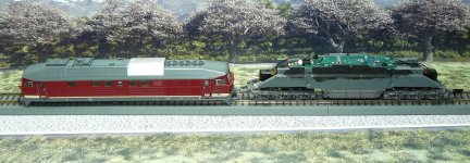 ttb P1130017 (2).JPG