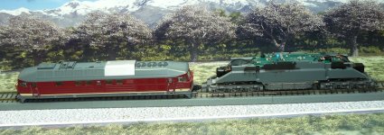 ttb P1130018 (2).JPG