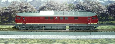 ttb P1130019 (2).JPG