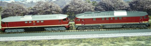 ttb P1130030 (3).JPG