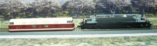 ttb P1130010 (2).JPG