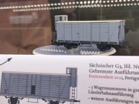 Sachse_grau_2.jpg