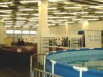 SIMG0738.JPG