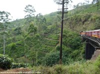 Eisenbahn_NuwaraEliya_23030439 (5).jpg