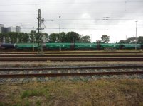 CIMG7926.JPG