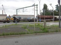 CIMG8173.JPG