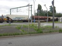 CIMG8174.JPG