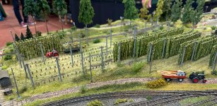 IMG_1455.jpeg