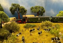 IMG_1437.jpeg