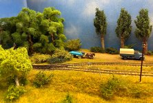 IMG_1442.jpeg