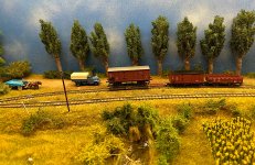 IMG_1443.jpeg