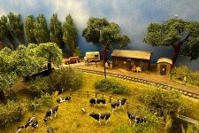 IMG_1444.jpeg